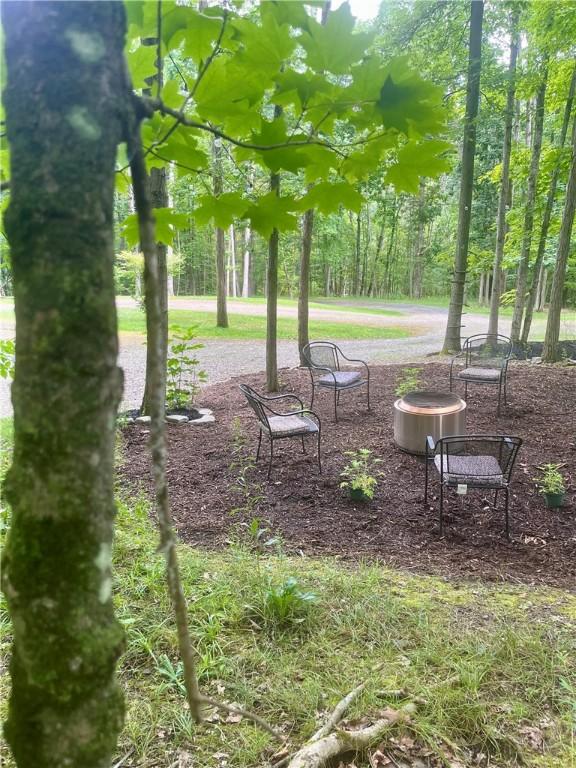121BREEDHOLLOW Breed Hollow Rd, Big Flats, NY 14845 - photo 41