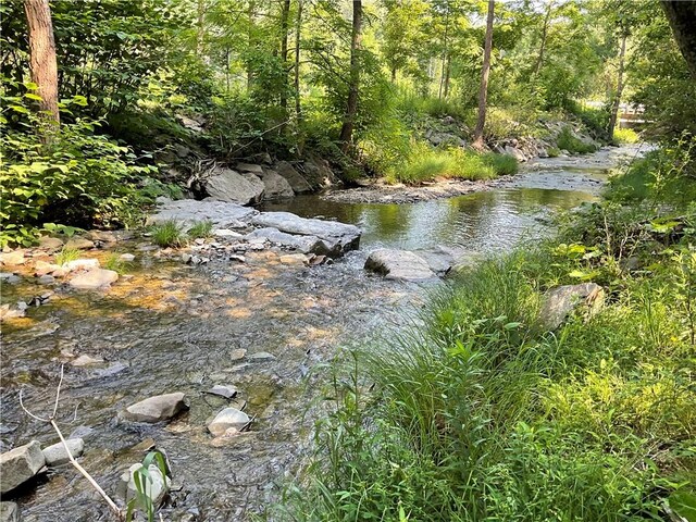 121BREEDHOLLOW Breed Hollow Rd, Big Flats, NY 14845 - photo 8