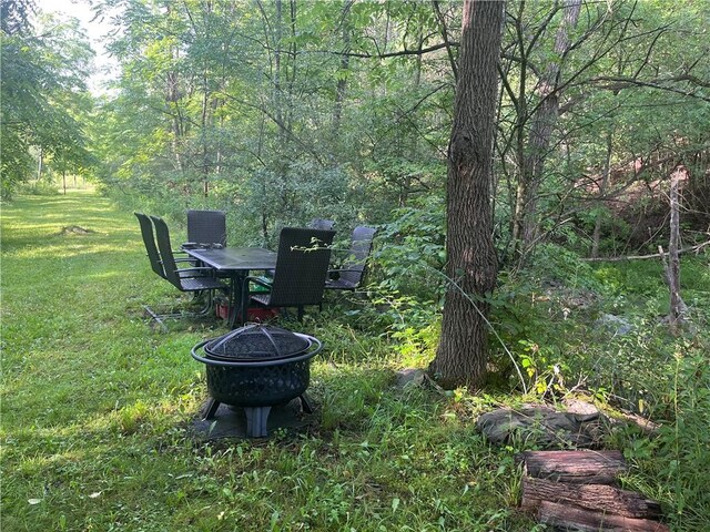 121BREEDHOLLOW Breed Hollow Rd, Big Flats, NY 14845 - photo 47
