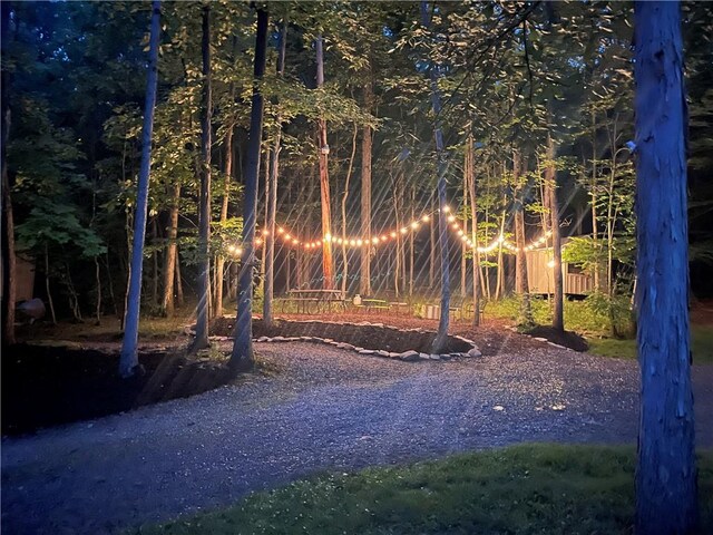 121BREEDHOLLOW Breed Hollow Rd, Big Flats, NY 14845 - photo 12