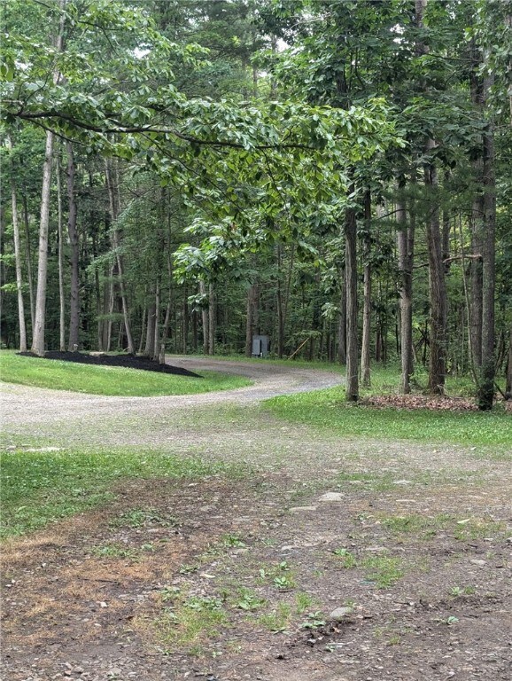 121BREEDHOLLOW Breed Hollow Rd, Big Flats, NY 14845 - photo 49