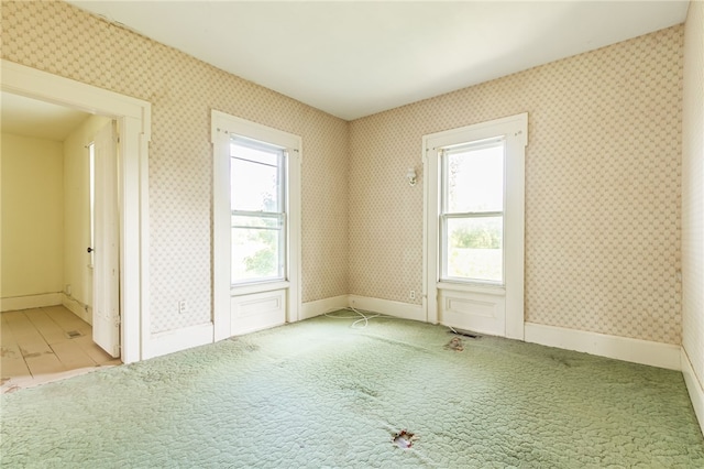 1116 Rochester St, Lima, NY 14485 - photo 17