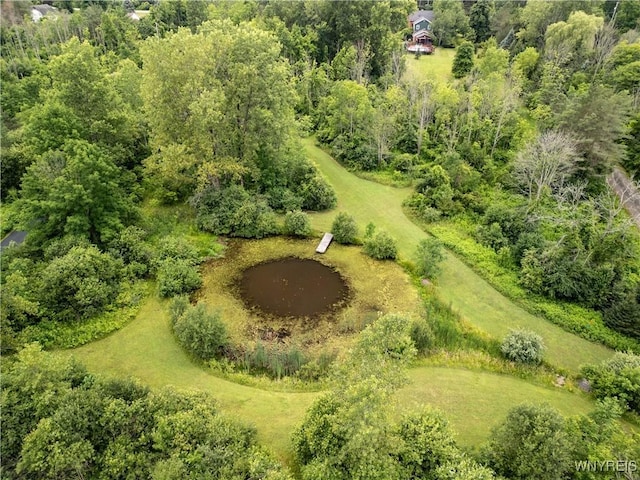 2220 Grover Rd, Aurora, NY 14170 - photo 46