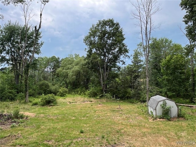 90 Water St, Carroll, NY 14738 - photo 21