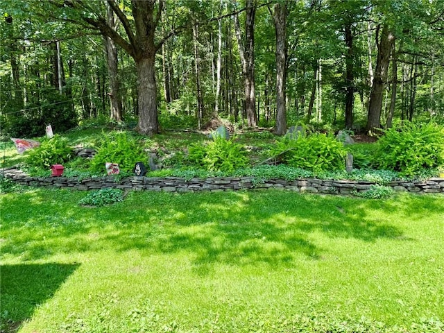 120 Scott Carpenter Rd, Oxford, NY 13830 - photo 32