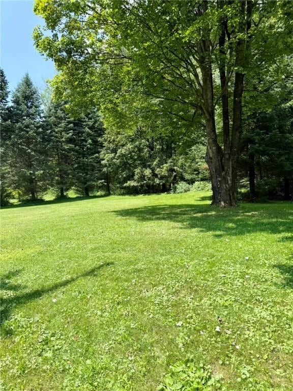 120 Scott Carpenter Rd, Oxford, NY 13830 - photo 33