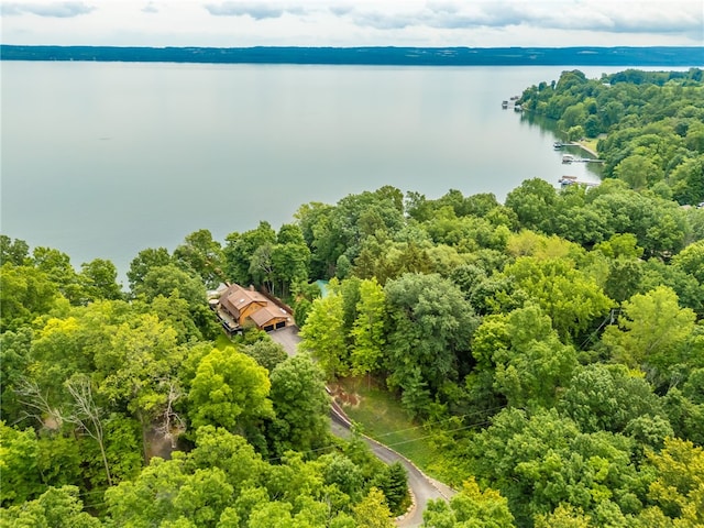 1965 Perry Point Rd, Torrey, NY 14527 - photo 47