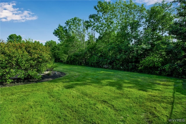 33 Newcastle Dr, Amherst, NY 14221 - photo 41