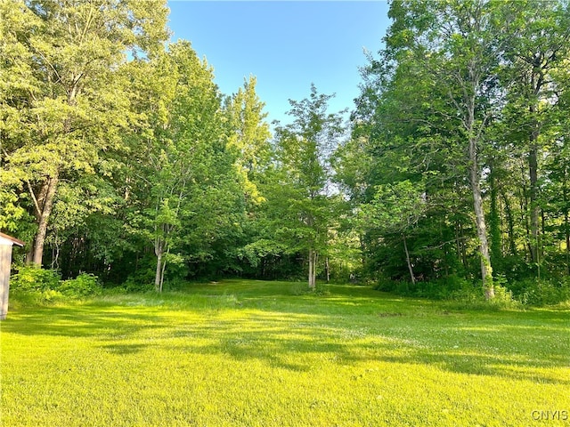 193 Gildner Rd, Hastings, NY 13036 - photo 27