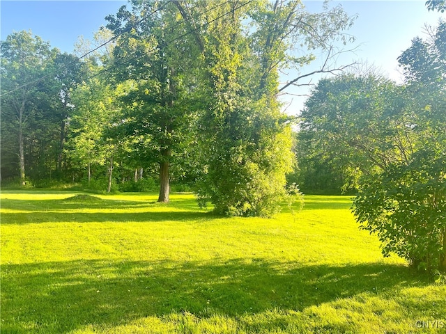 193 Gildner Rd, Hastings, NY 13036 - photo 28