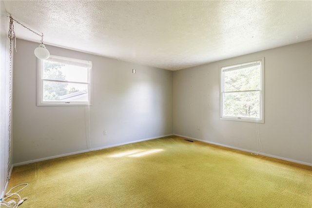 24 Reddick Ln, Ogden, NY 14624 - photo 32