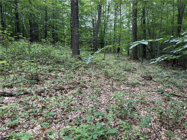 Turnpike Rd Unit Tn4, Columbus, NY 13460 - photo 3