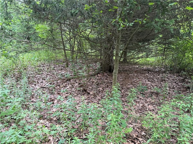 Turnpike Rd Unit Tn4, Columbus, NY 13460 - photo 6