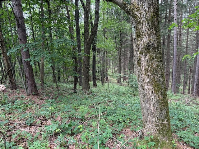 Turnpike Rd Unit Tn4, Columbus, NY 13460 - photo 7