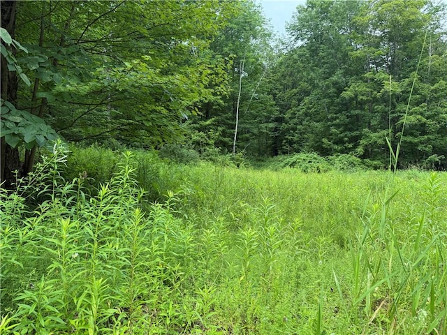 Turnpike Rd Unit Tn4, Columbus, NY 13460 - photo 10