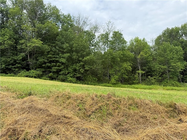 Turnpike Rd Unit Tn4, Columbus, NY 13460 - photo 11