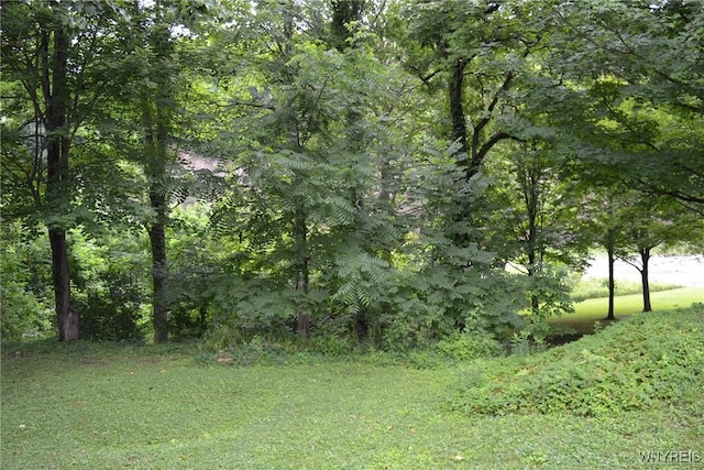 352 Palmer St, Persia, NY 14070 - photo 5