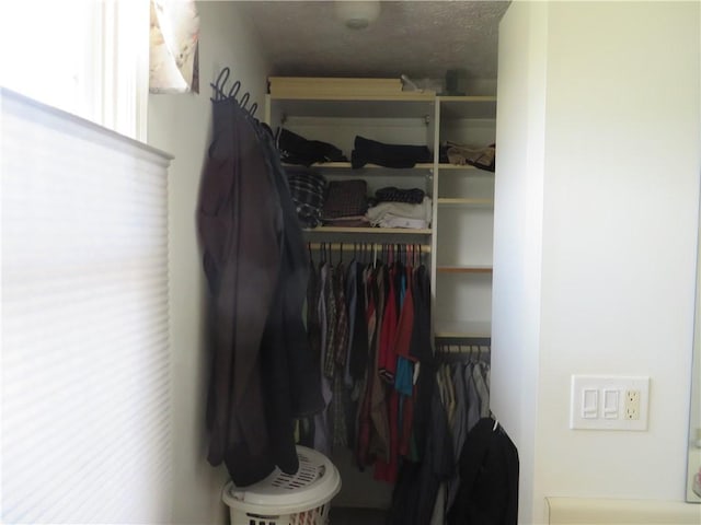 59 Cattaragus Dr, Henrietta, NY 14623 - photo 24
