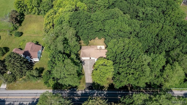 4944 Abbott Rd, Orchard Park, NY 14127 - photo 10