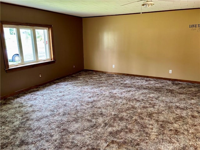 26 N Maple Ave, Avoca, NY 14809 - photo 16
