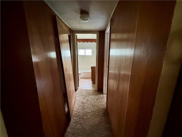 26 N Maple Ave, Avoca, NY 14809 - photo 22