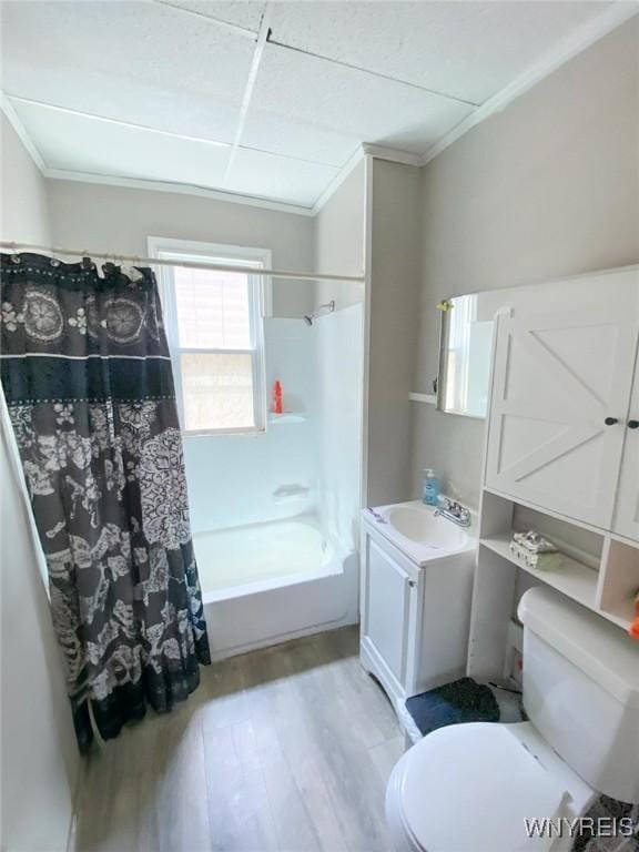 81 Kingston Pl, Buffalo, NY 14210 - photo 11