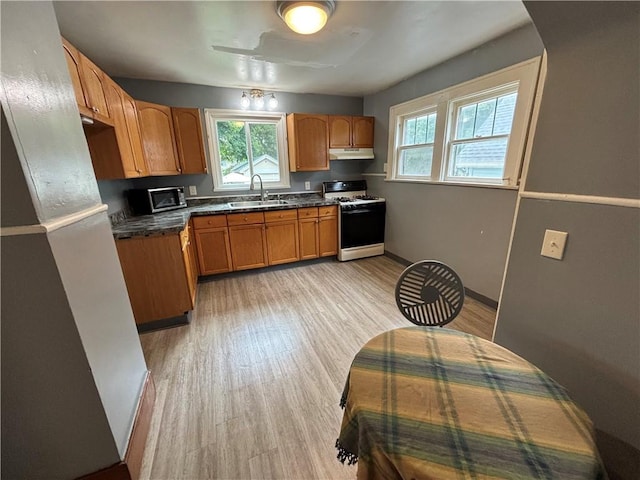 266 Santee St, Rochester, NY 14613 - photo 7