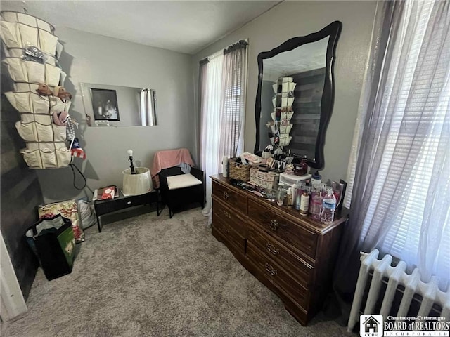 721 Grant Ave, Dunkirk, NY 14048 - photo 15
