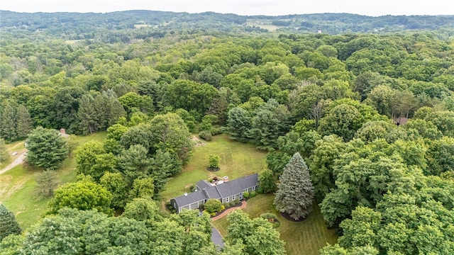 5 Buggywhip Trl, Mendon, NY 14472 - photo 48