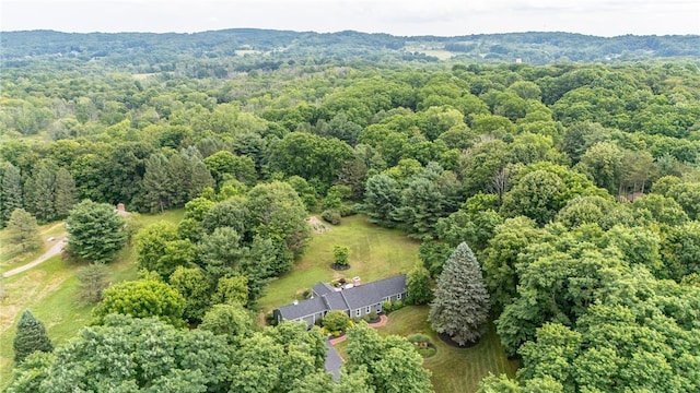 5 Buggywhip Trl, Mendon, NY 14472 - photo 49