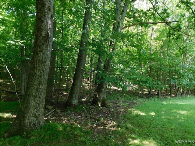 572 Horse Run Rd, Bolivar, NY 14754 - photo 5