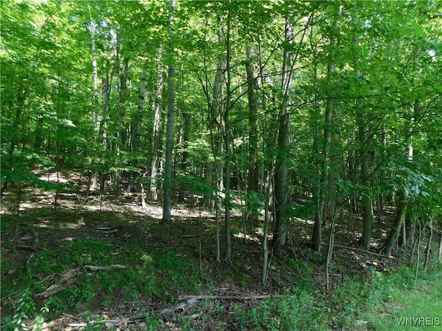572 Horse Run Rd, Bolivar, NY 14754 - photo 6
