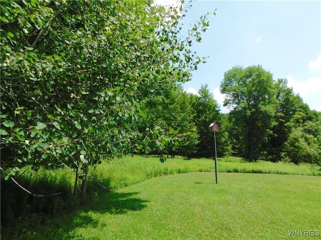 572 Horse Run Rd, Bolivar, NY 14754 - photo 7