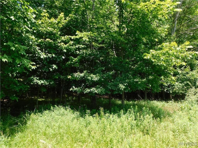 572 Horse Run Rd, Bolivar, NY 14754 - photo 8