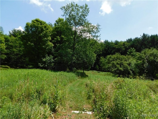 572 Horse Run Rd, Bolivar, NY 14754 - photo 17