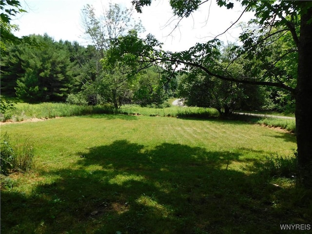 572 Horse Run Rd, Bolivar, NY 14754 - photo 18