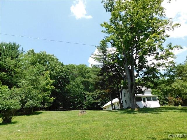572 Horse Run Rd, Bolivar, NY 14754 - photo 19