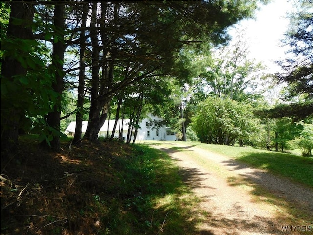 572 Horse Run Rd, Bolivar, NY 14754 - photo 20