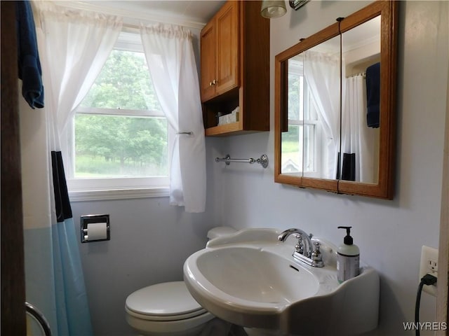 572 Horse Run Rd, Bolivar, NY 14754 - photo 32