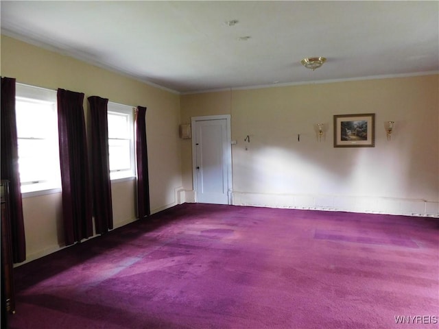 572 Horse Run Rd, Bolivar, NY 14754 - photo 36