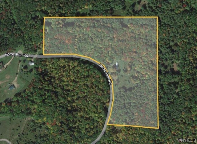 572 Horse Run Rd, Bolivar, NY 14754 - photo 47