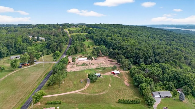 3363B Esperanza Rd, Jerusalem, NY 14478 - photo 20