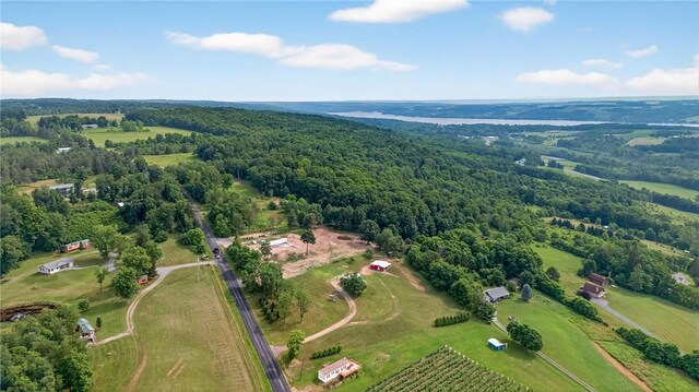 3363B Esperanza Rd, Jerusalem, NY 14478 - photo 21