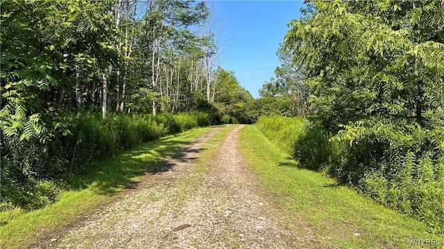 7406 California Hill Rd, Mansfield, NY 14755 - photo 2