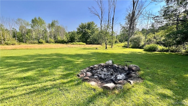 7406 California Hill Rd, Mansfield, NY 14755 - photo 33