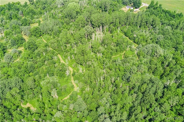 V/L Coleman Rd, Somerset, NY 14012 - photo 2