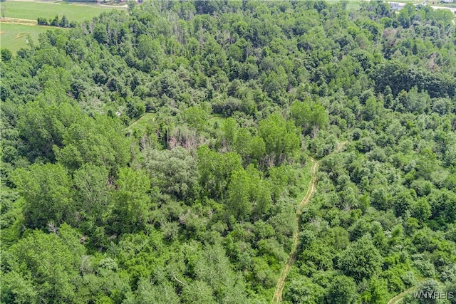 V/L Coleman Rd, Somerset, NY 14012 - photo 4