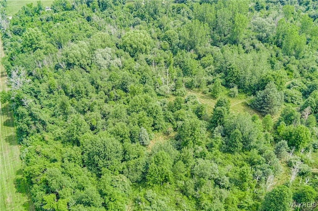 V/L Coleman Rd, Somerset, NY 14012 - photo 9