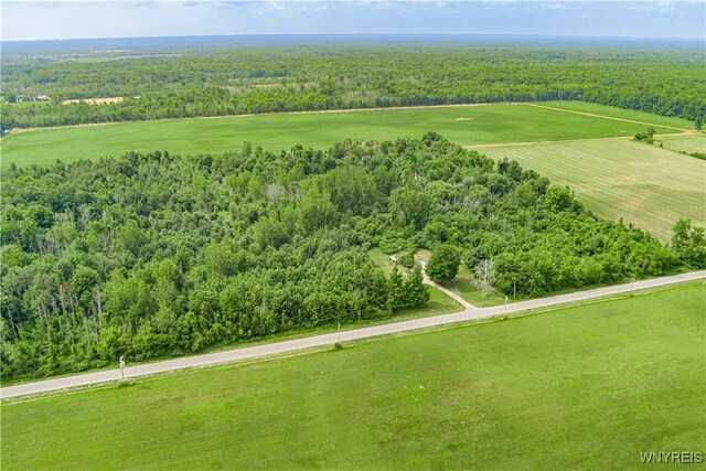 V/L Coleman Rd, Somerset, NY 14012 - photo 11