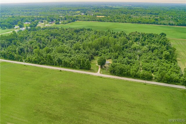 V/L Coleman Rd, Somerset, NY 14012 - photo 13